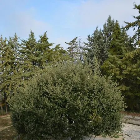 Appartement La Culla Del Conte *